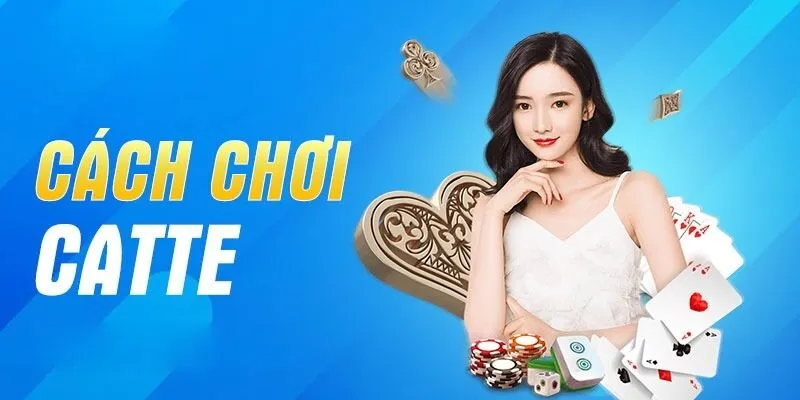 Sunwin – Hướng dẫn chơi game Catte cho anh em tân thủ 2024 Thuật ngữ và luật chơi Catte tại Sunwin