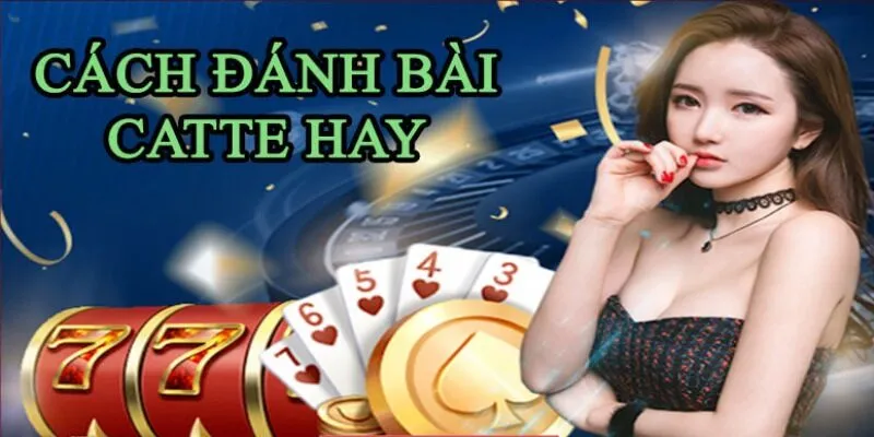 Sunwin – Hướng dẫn chơi game Catte cho anh em tân thủ 2024 Chi tiết cách chơi Catte ở vòng số 5 – Trưng